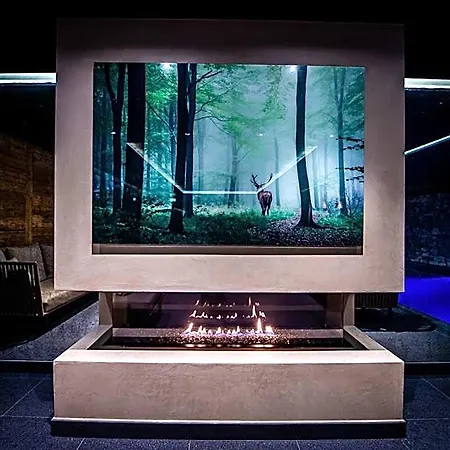Hotel De Rougemont & 4*